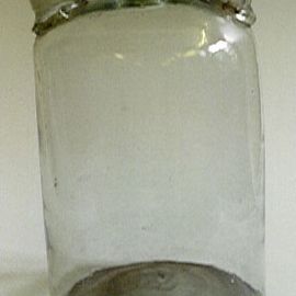 Woulfisk flaske
